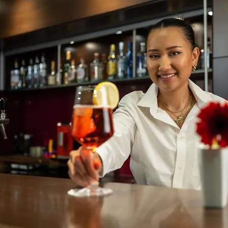 格拉茨市美居酒店